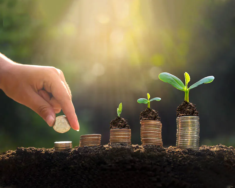 Welfare and Development Charity Organization (WeDCO)
